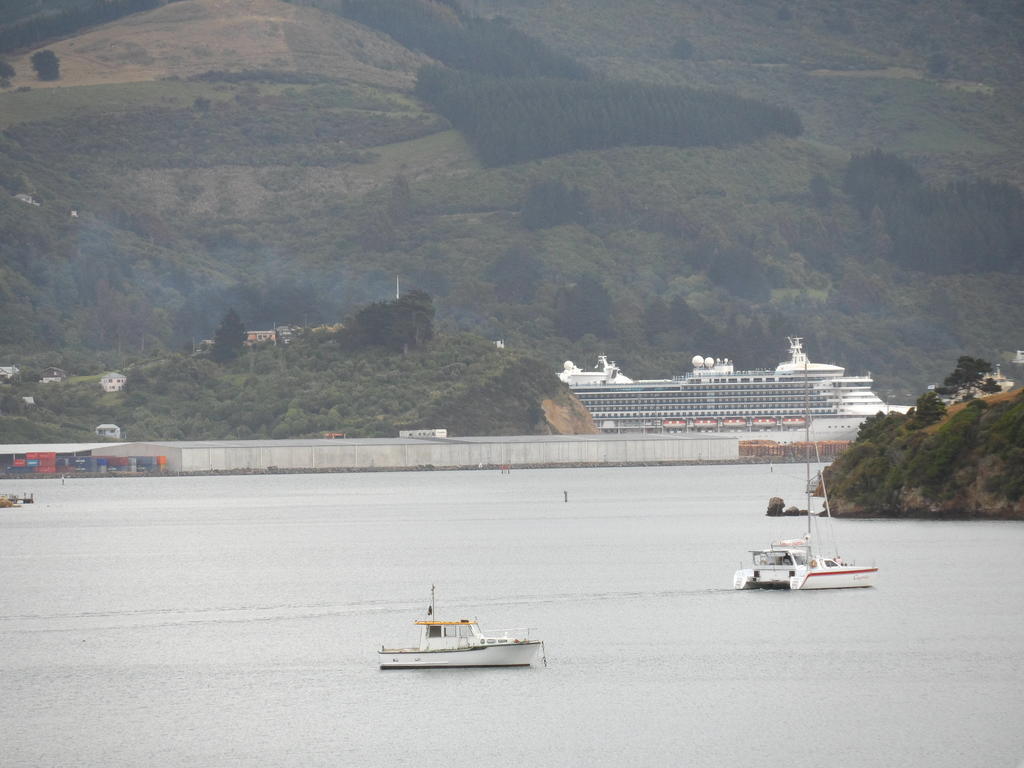 Otago Peninsula Motel Портобелло Экстерьер фото