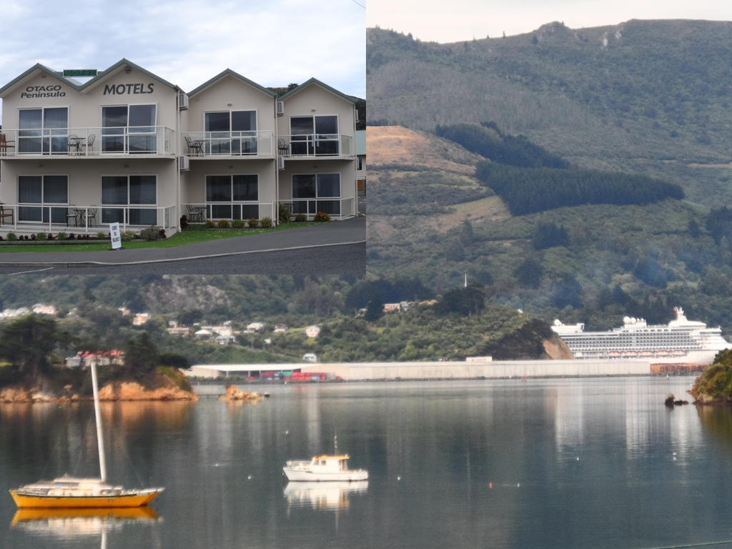 Otago Peninsula Motel Портобелло Экстерьер фото